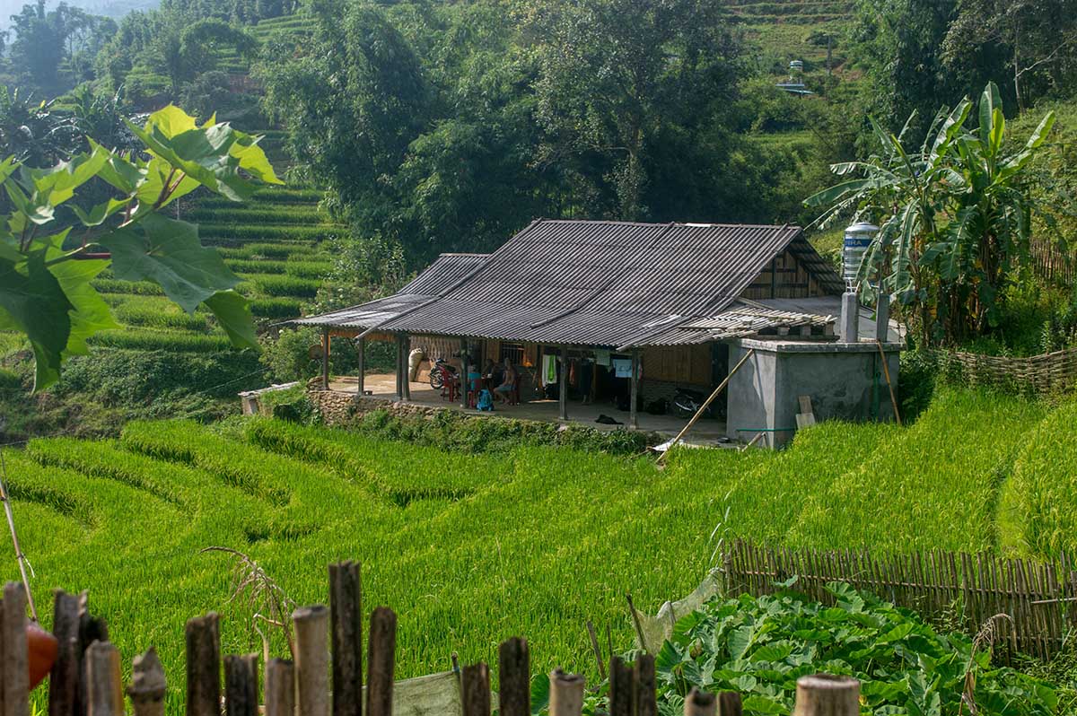 Groene rijstterrassen en een houten huis bij Sapa