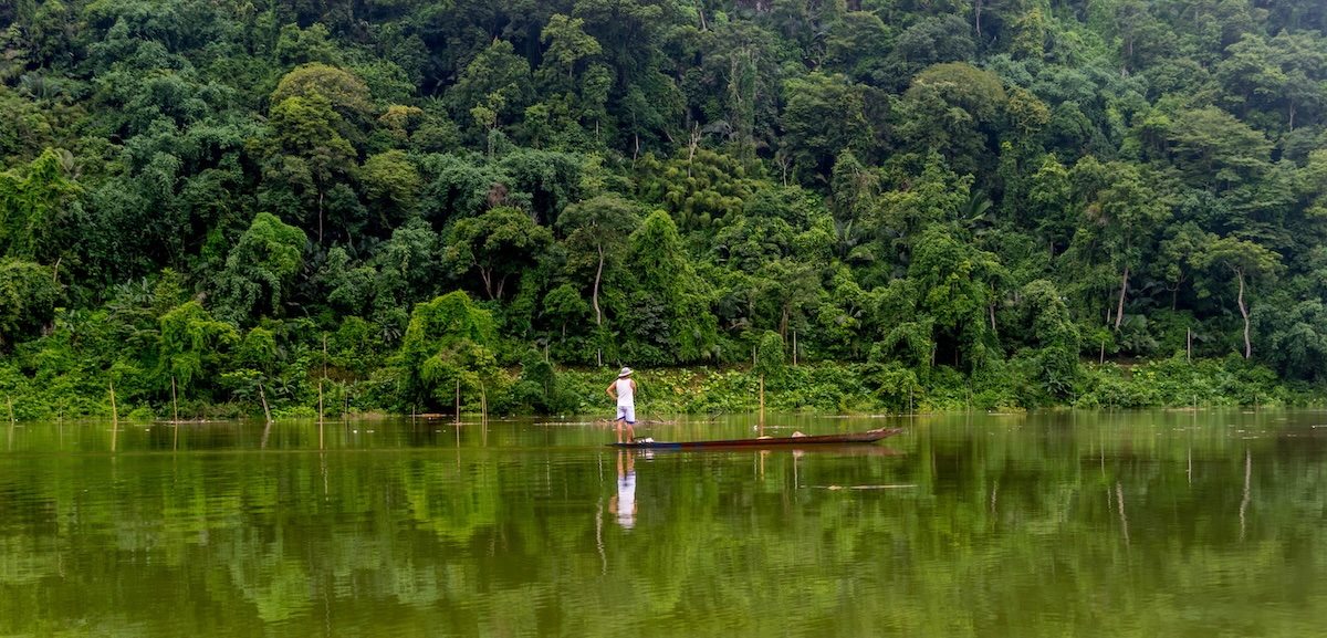 Een man staat op een smal houten bootje op het groene water, met dichte jungle op de oever