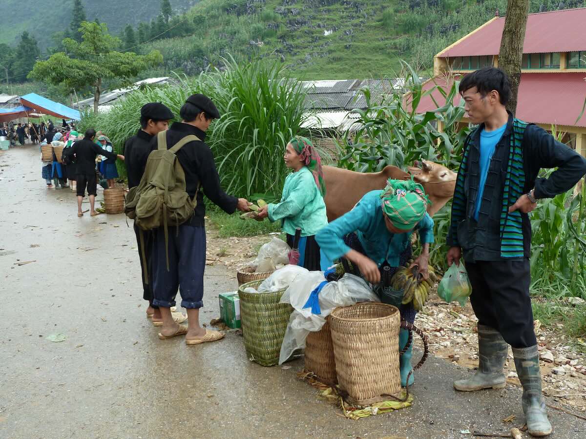 Hmong in Ha Giang