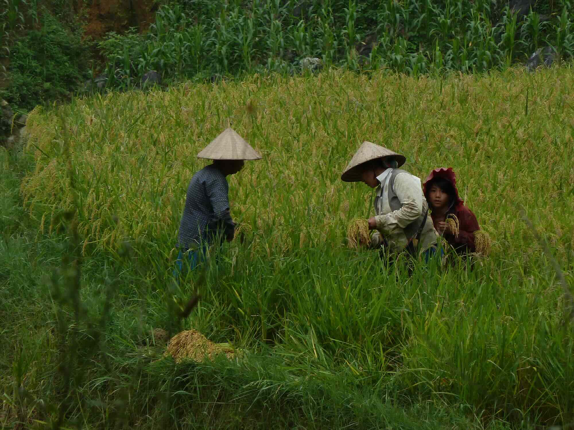 Lokale bevolking in Ha Giang