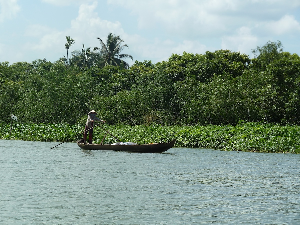 Een roeier met een conische hoed staat in een smalle boot op de brede rivier, langs een oever met waterhyacinten en palmbomen