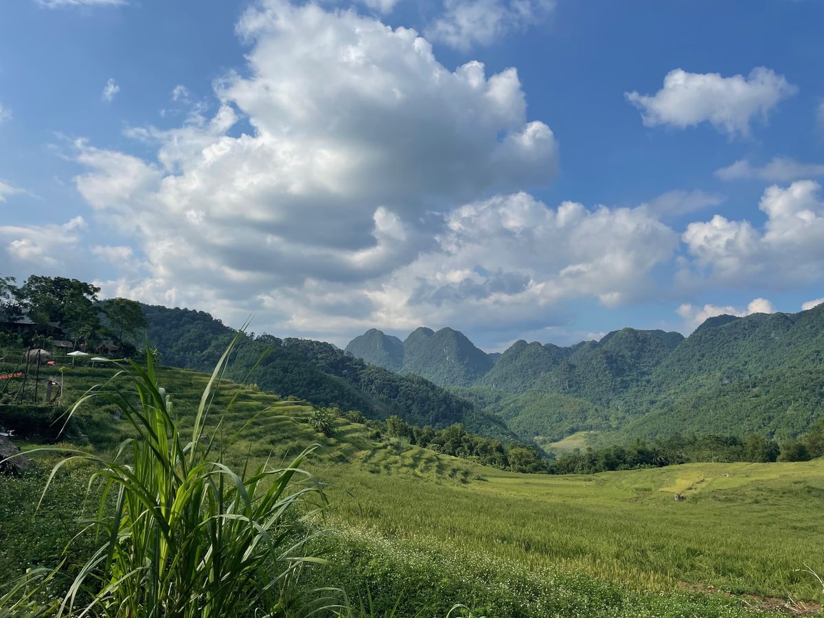 Rijstterrassen en bergen onder de wolken in Pu Luong