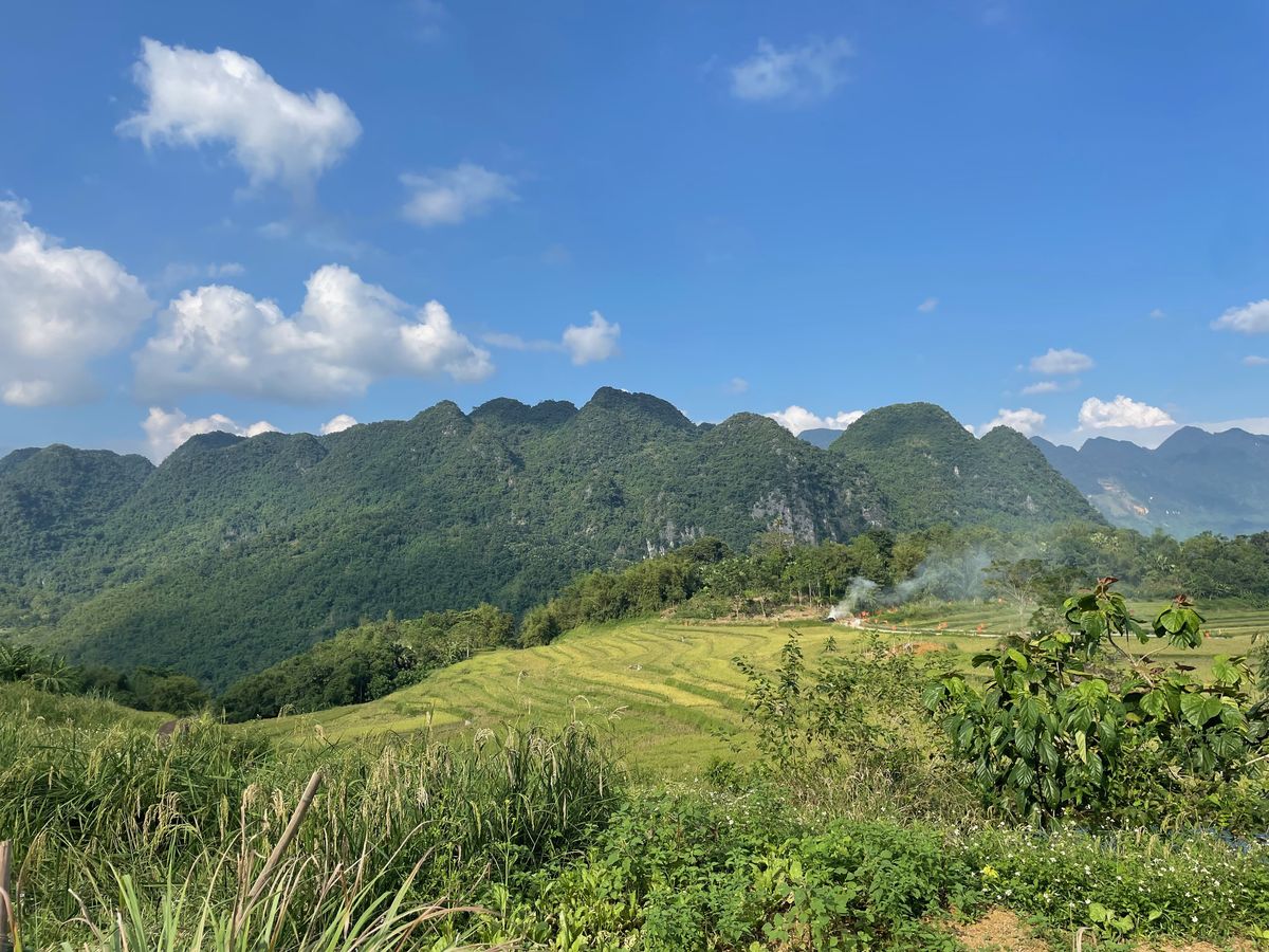 Rijstvelden aan de voet van met jungle begroeide kalksteenbergen in Pu Luong